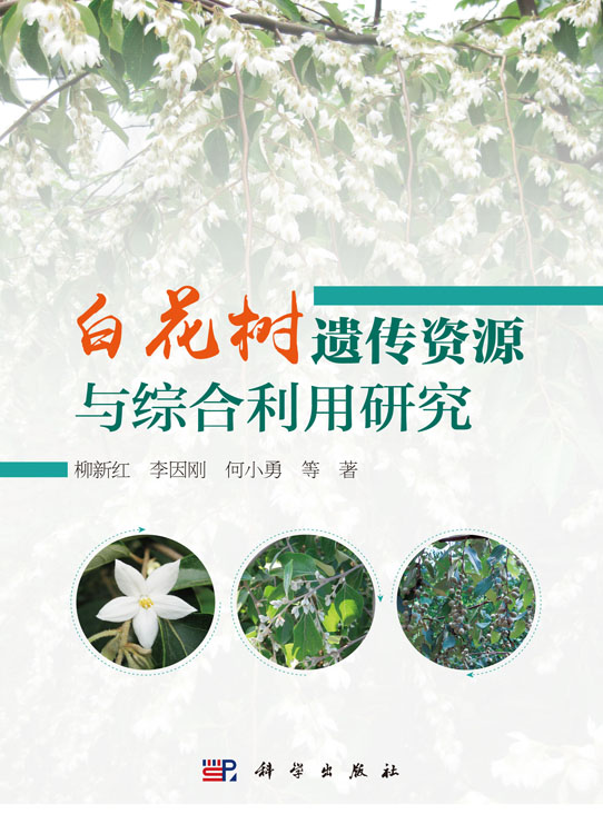 白花树遗传资源与综合利用研究