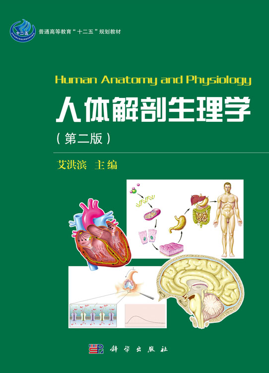 人体解剖生理学