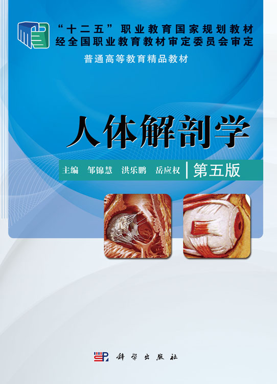 人体解剖学（第五版）