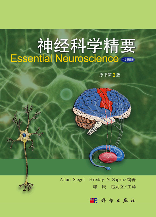 神经科学精要（原书第3版）