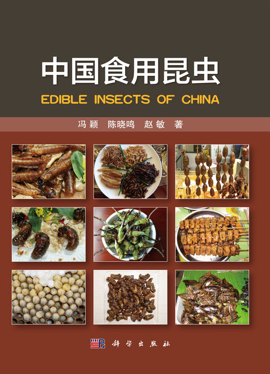 中国食用昆虫