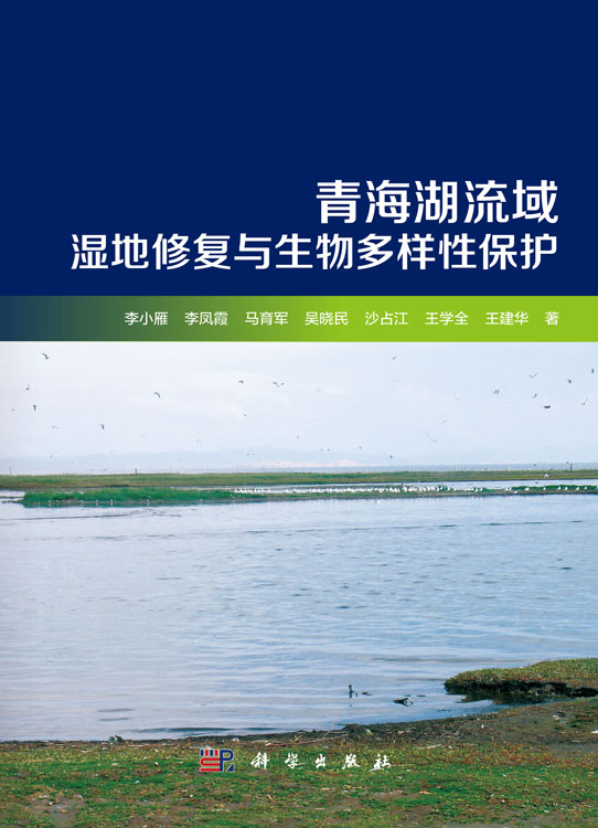 青海湖流域湿地修复与生物多样性保护
