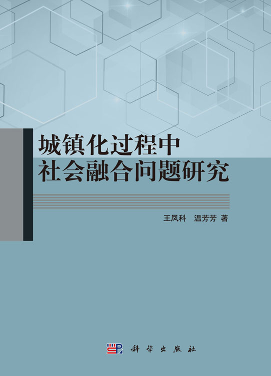 城镇化过程中社会融合问题研究