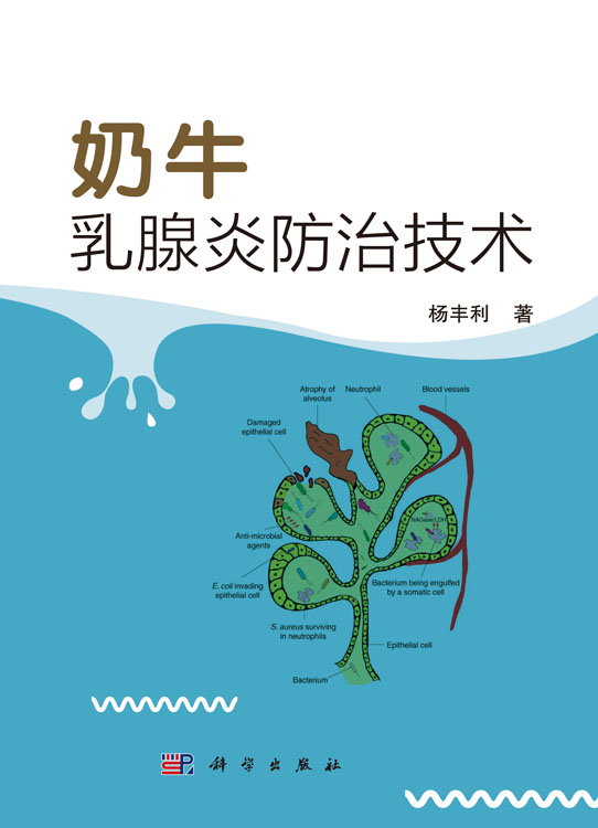奶牛乳腺炎防治技术