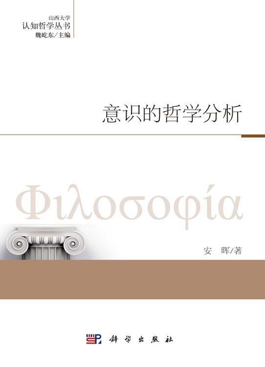 意识的哲学分析