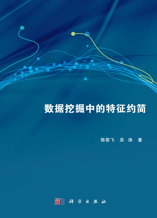 数据挖掘中的特征约简