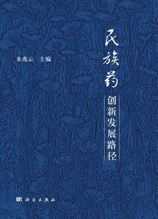 民族药创新发展路径