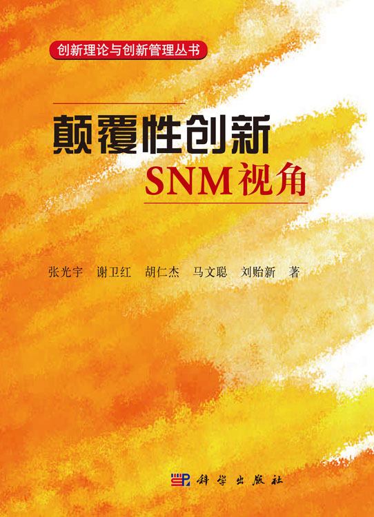 颠覆性创新: SNM 视角