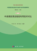 中美煤炭清洁高效利用技术对比