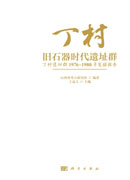丁村旧石器时代遗址群――丁村遗址群1976~1980年发掘报告