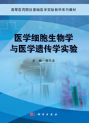医学细胞生物学和医学遗传学实验