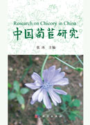中国菊苣研究