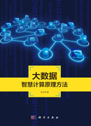 大数据智慧计算原理方法