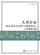 大型企业核心竞争力评价与调查报告