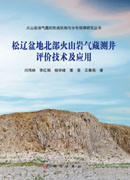 松辽盆地北部火山岩气藏测井评价技术及应用