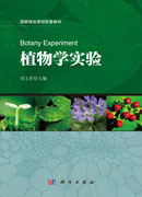 植物学实验