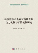 科技型中小企业可持续发展动力机制与扩散机制研究