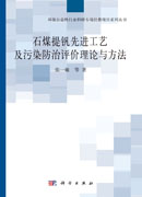 石煤提钒行业先进工艺及污染防治技术评估理论与方法