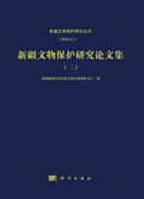 新疆文物保护研究论文集（二）