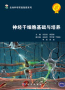 神经干细胞基础与培养