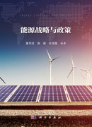 能源战略与政策