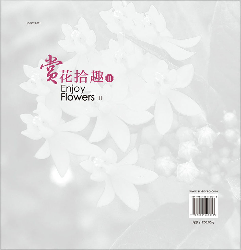 赏花拾趣II