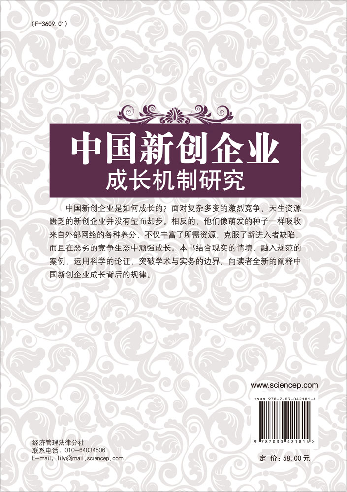 中国新创企业成长机制研究