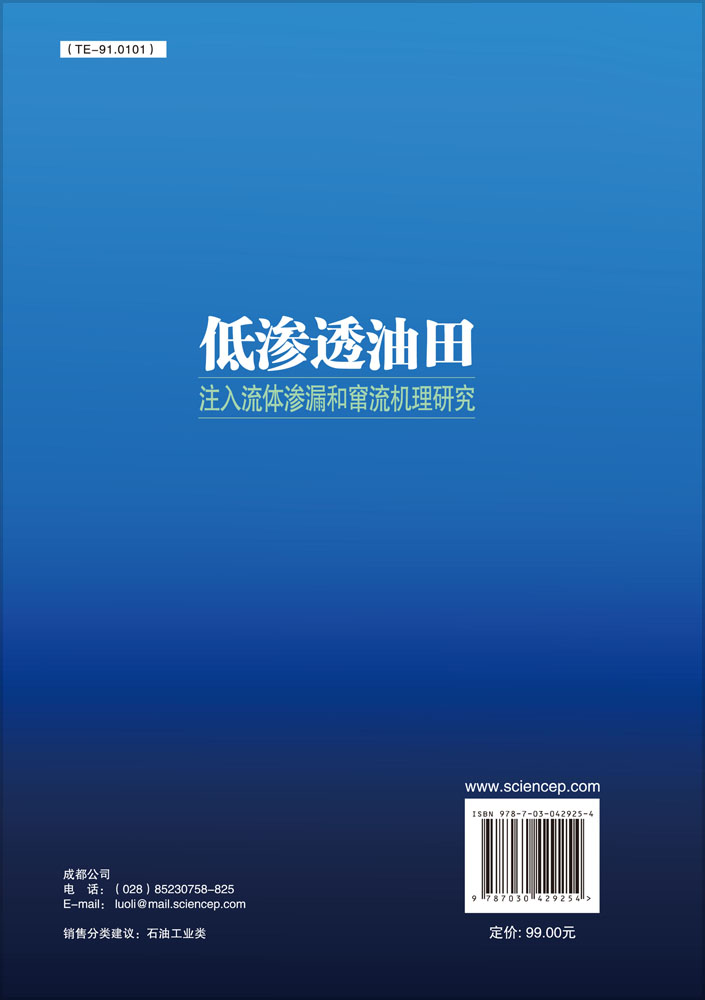 低渗透油田注入流体渗漏和窜流机理研究
