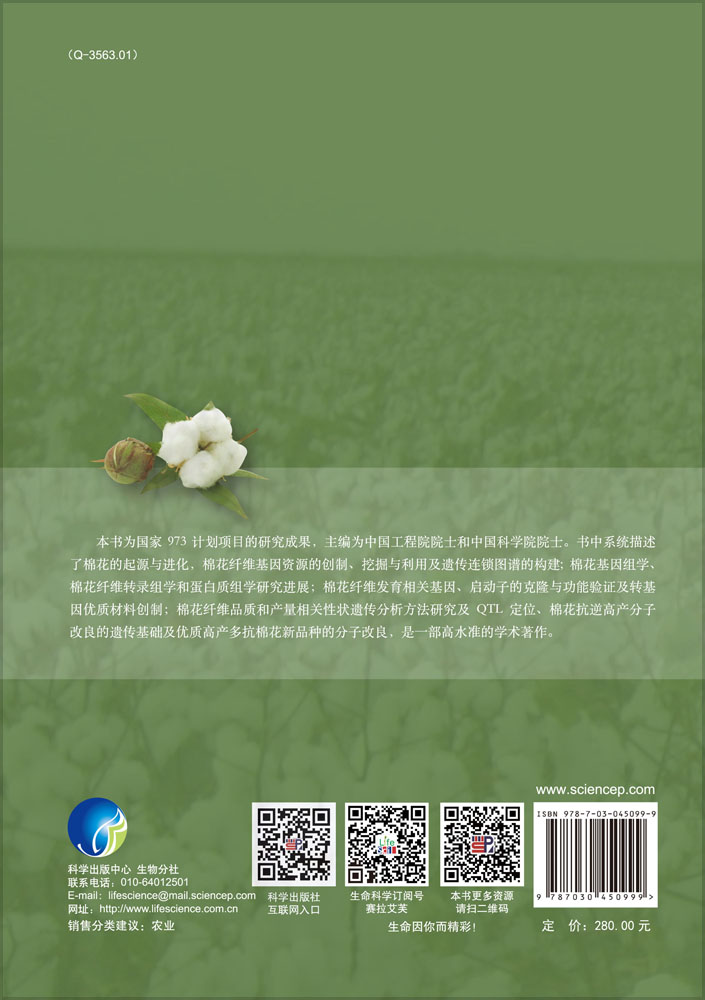 棉花纤维发育生物学