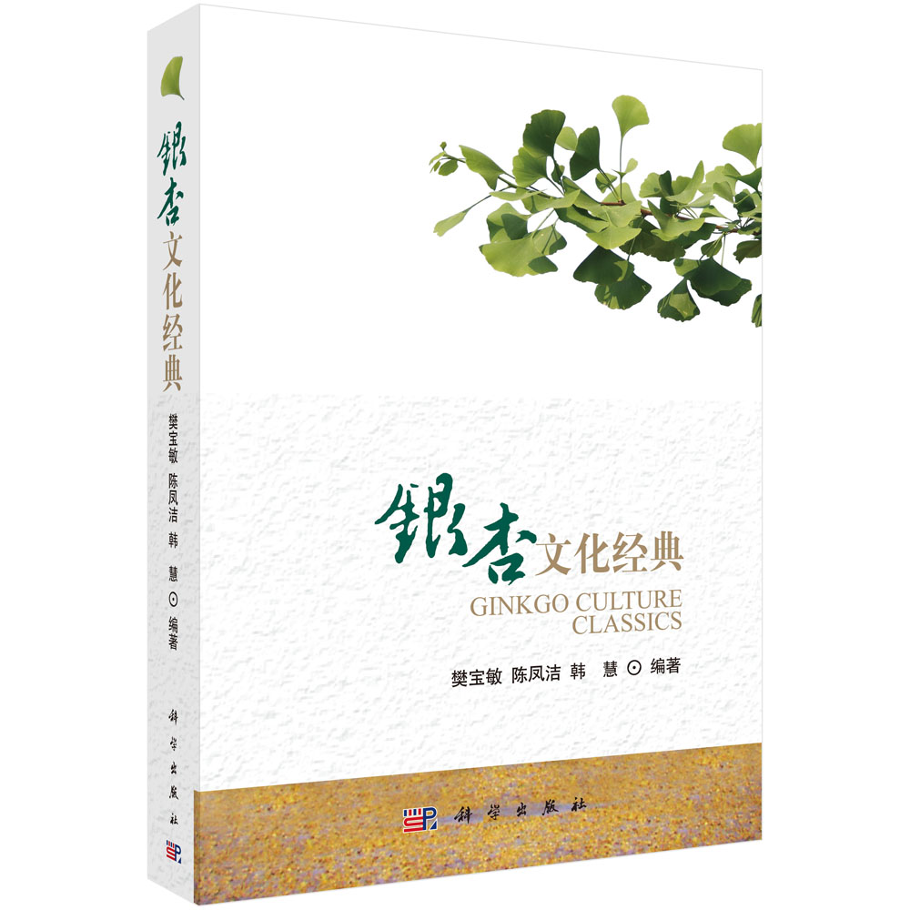 银杏文化脉络