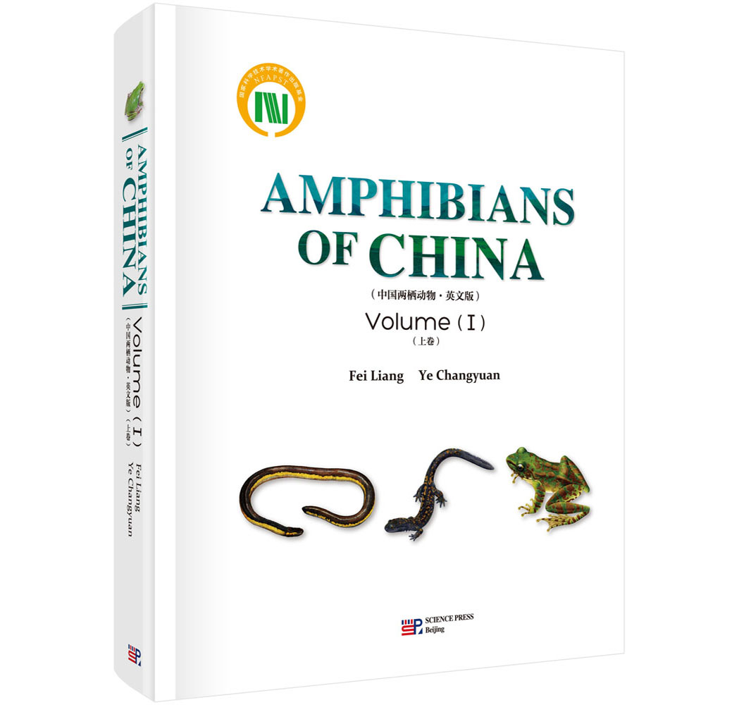 中国两栖动物（英文版·上卷）Amphibians of China(I)