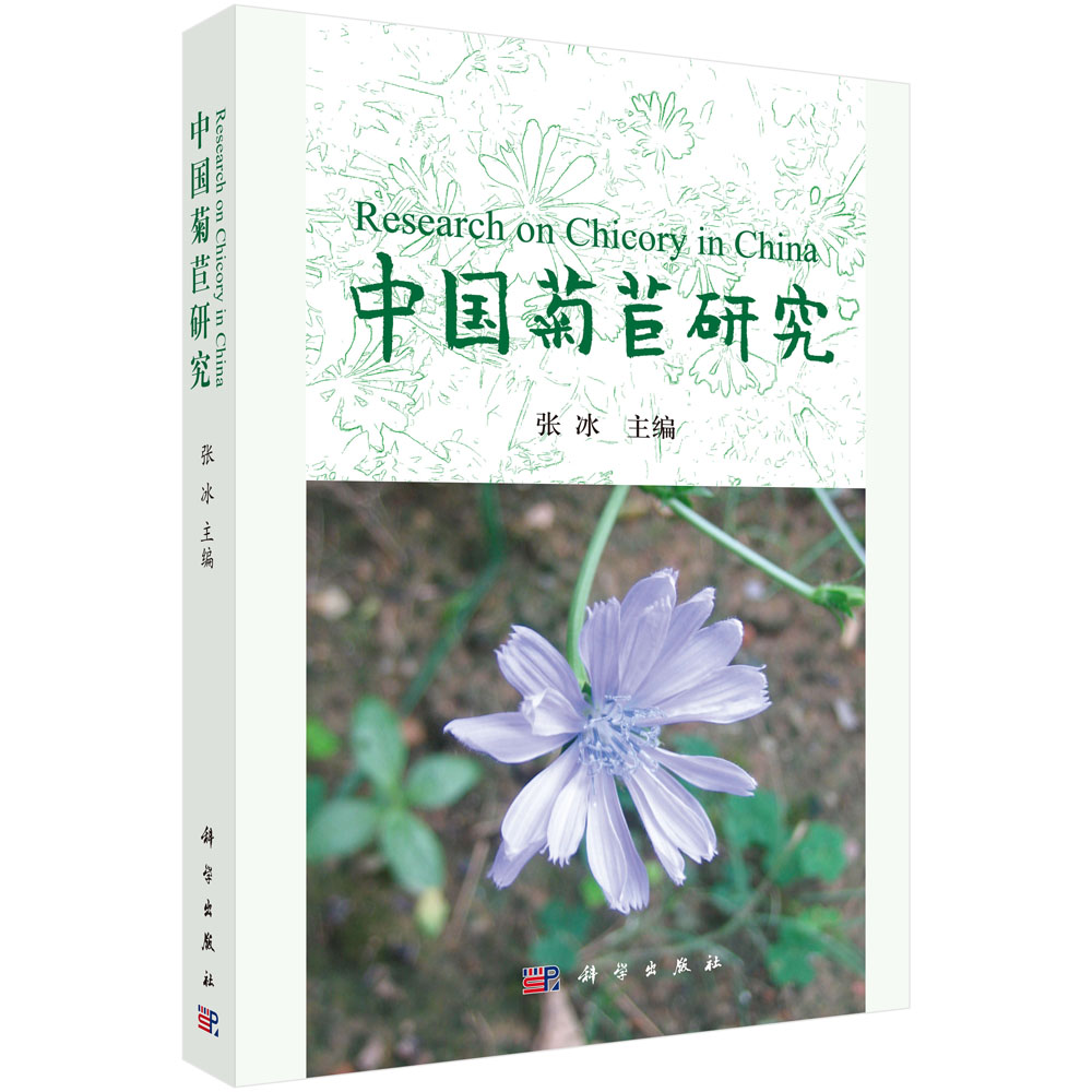 中国菊苣研究