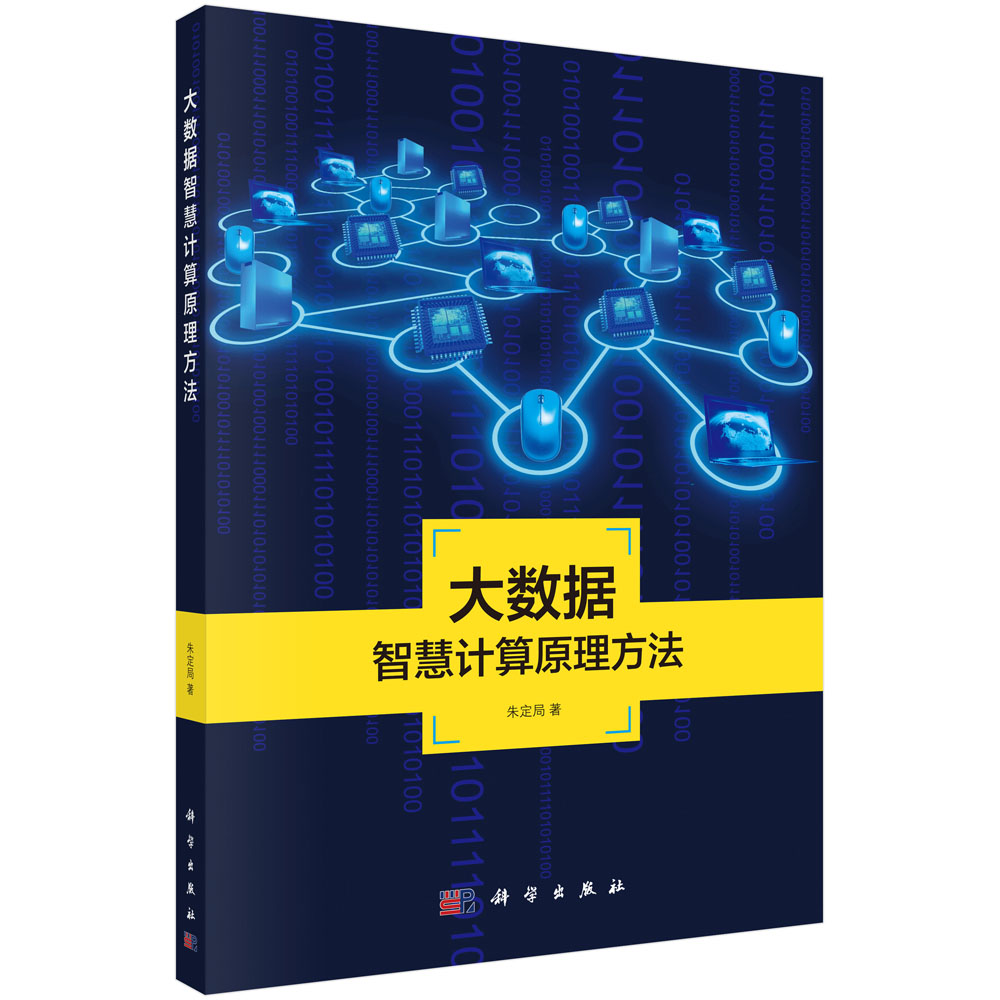 大数据智慧计算原理方法