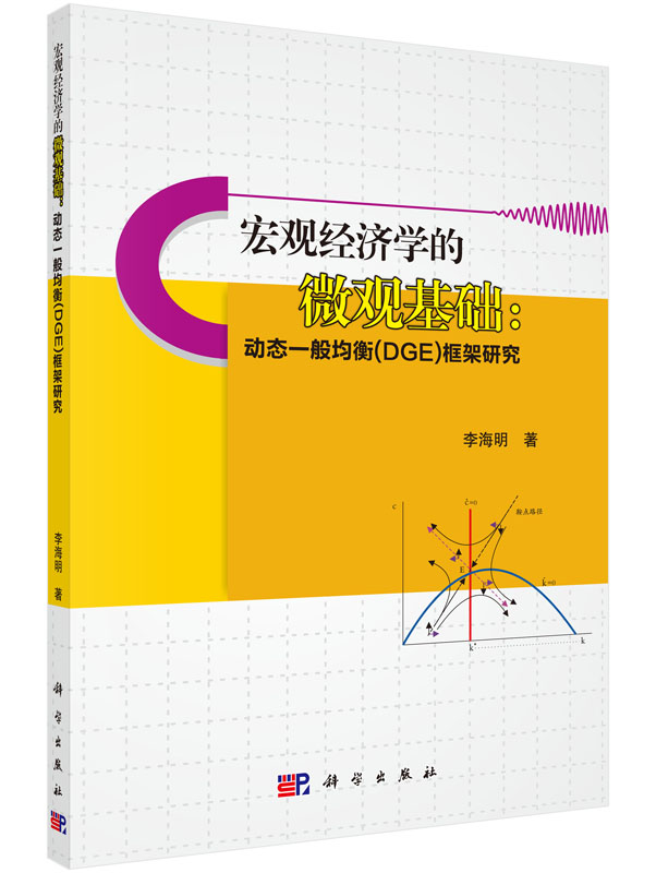 宏观经济学的微观基础：动态一般均衡（DGE）框架研究