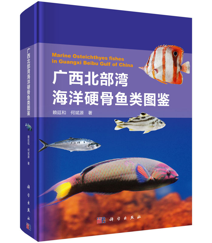 广西北部湾海洋硬骨鱼类图鉴