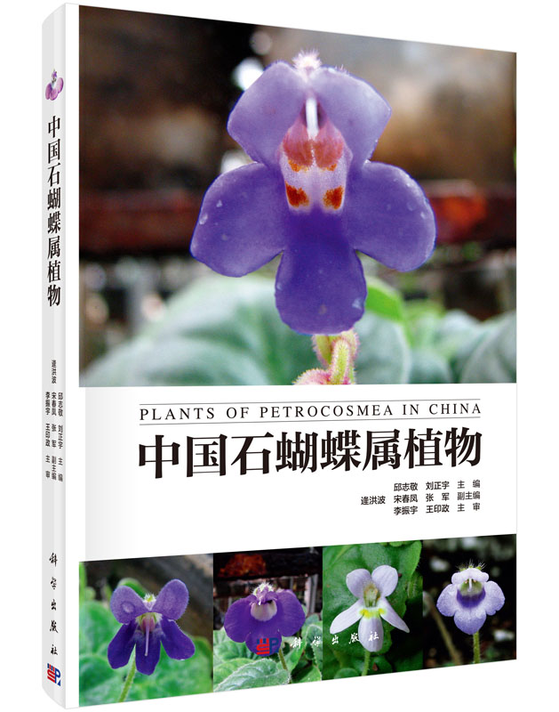 中国石蝴蝶属植物