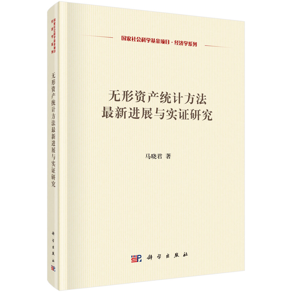 无形资产统计方法最新进展与实证研究