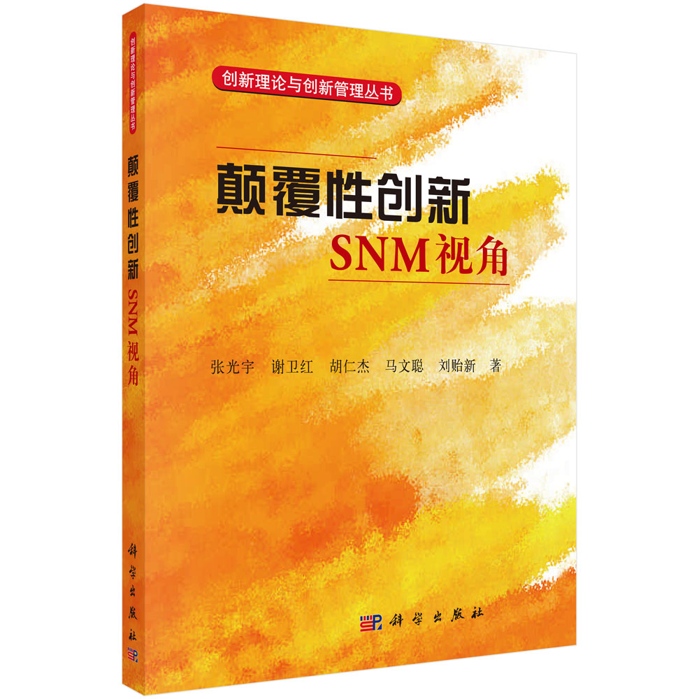 颠覆性创新: SNM 视角