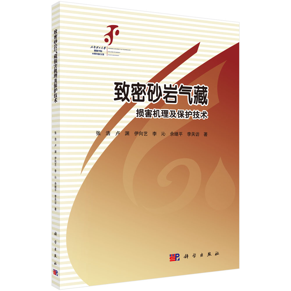 致密砂岩气藏伤害机理与保护技术