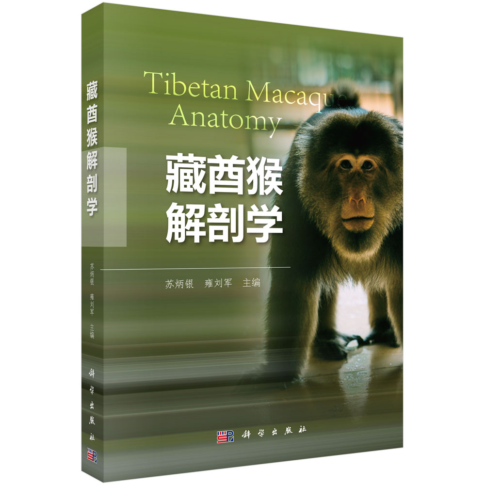 藏酋猴解剖学