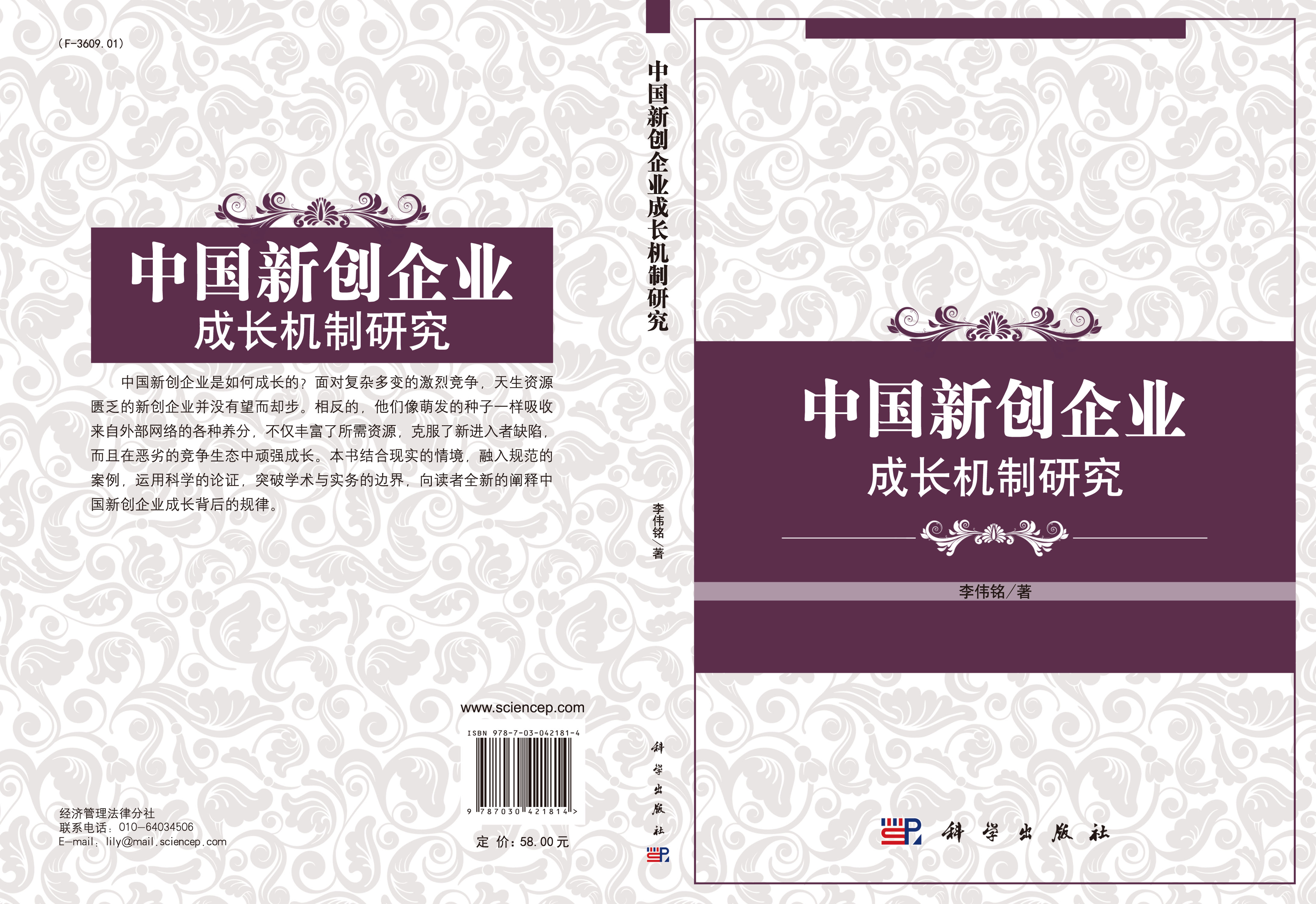 中国新创企业成长机制研究