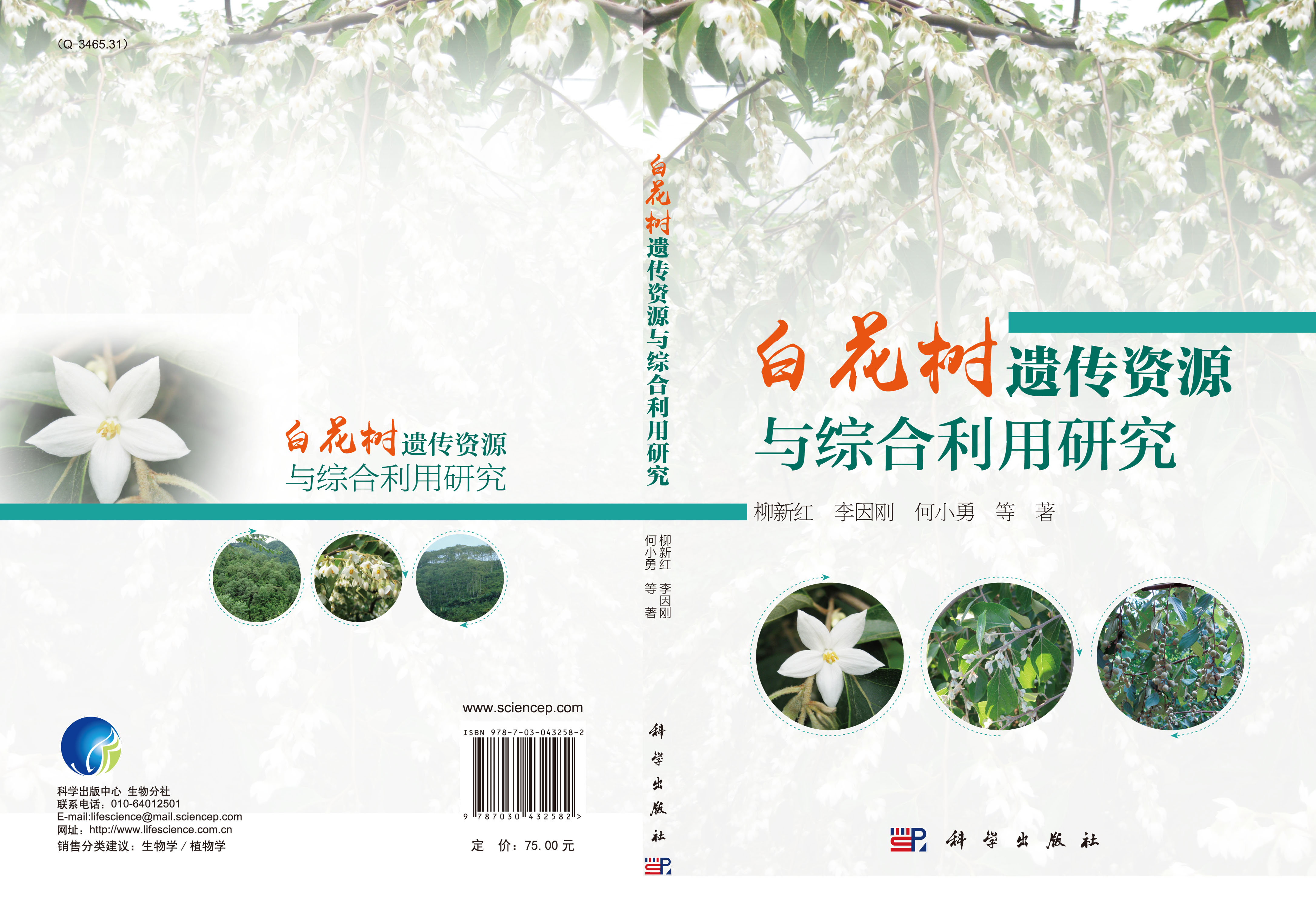 白花树遗传资源与综合利用研究