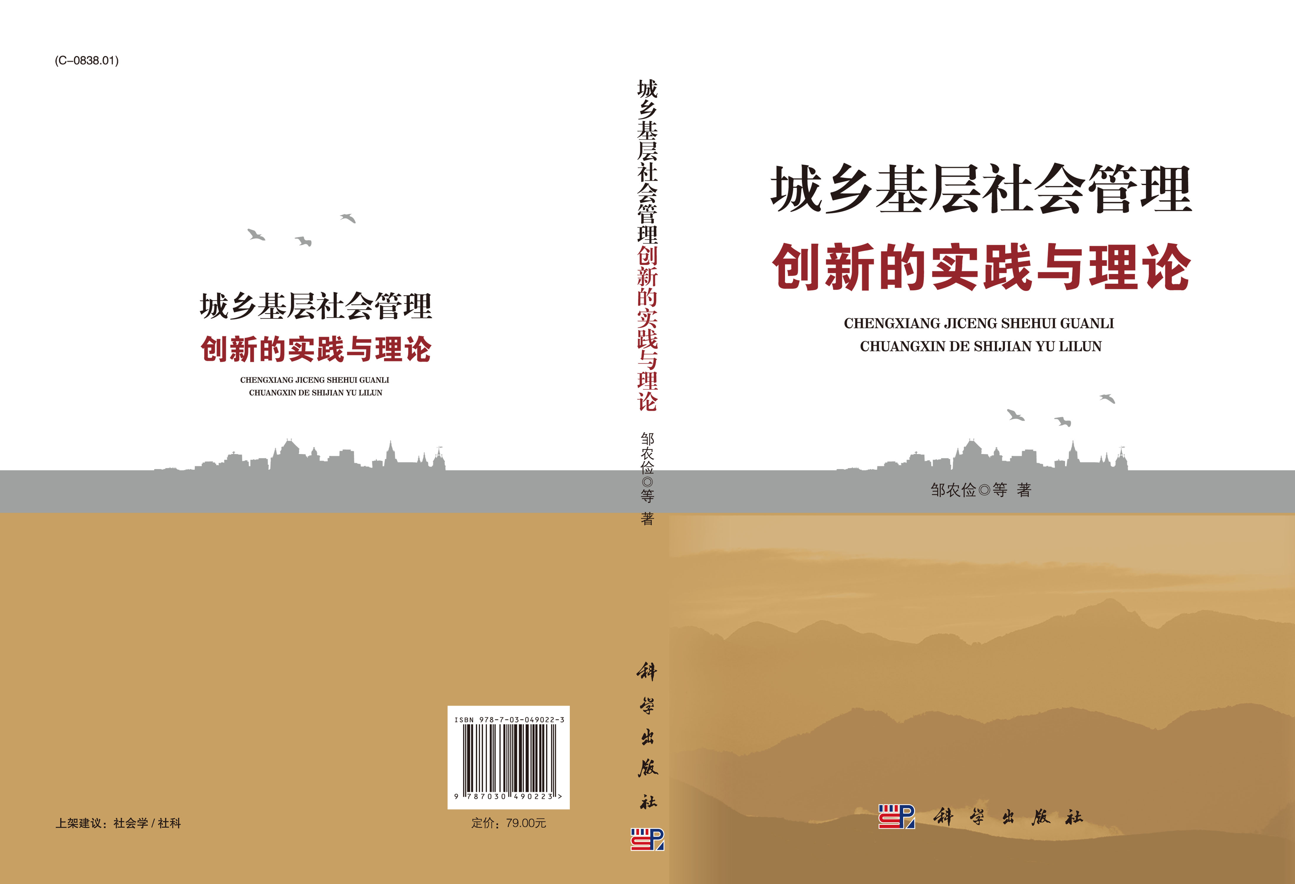 城乡基层社会管理创新的实践与理论