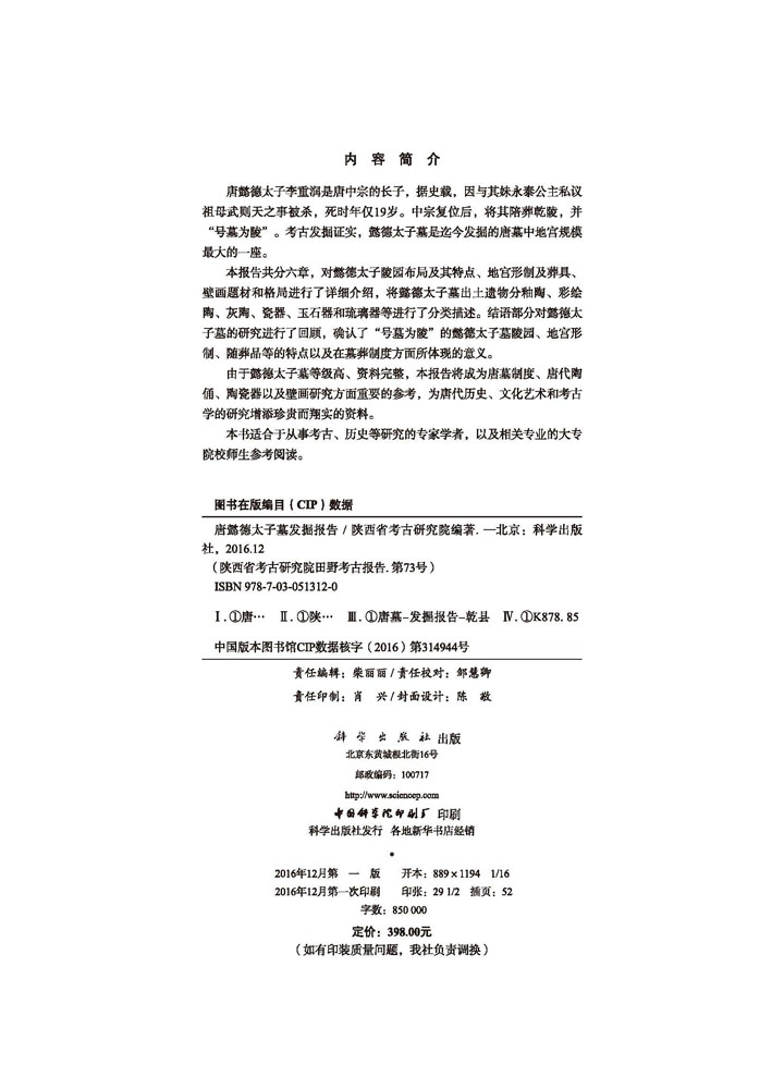 唐懿德太子墓发掘报告