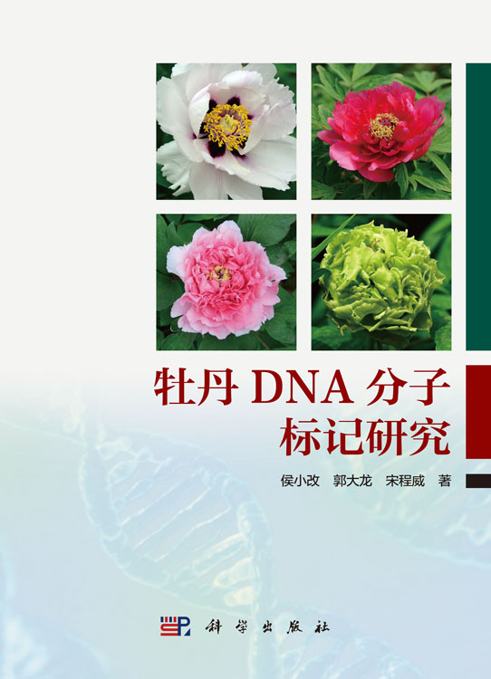 牡丹DNA分子标记研究