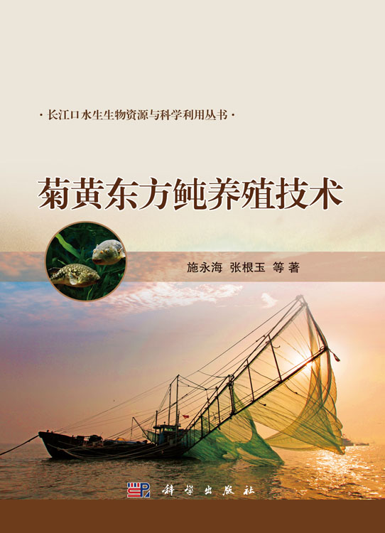 菊黄东方鲀养殖技术