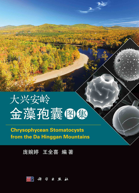 大兴安岭金藻孢囊图集