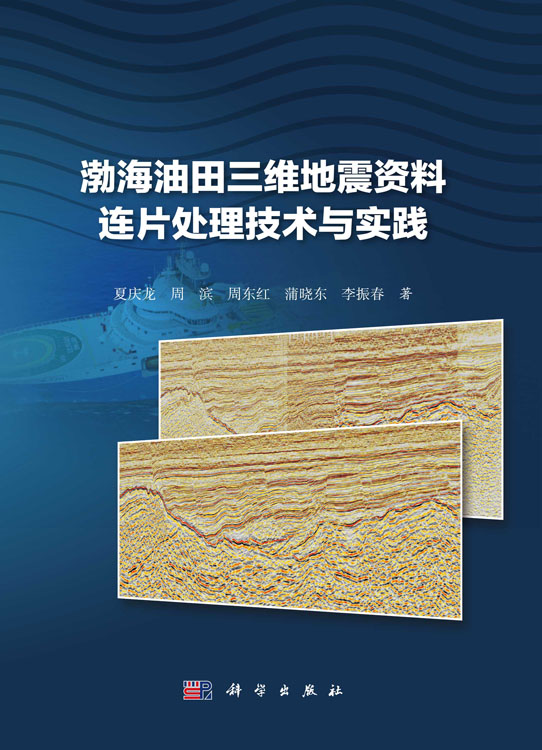 渤海油田三维地震资料连片处理技术与实践