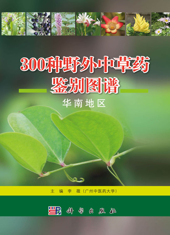 300种野外中草药鉴别图谱