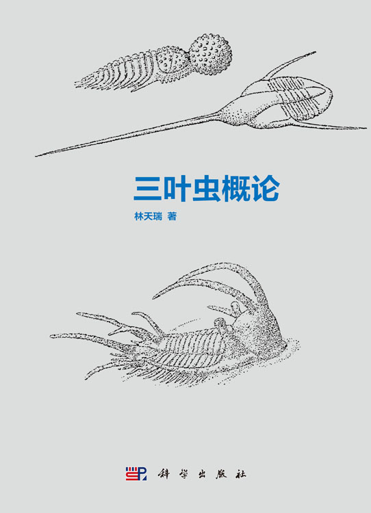 三叶虫概论